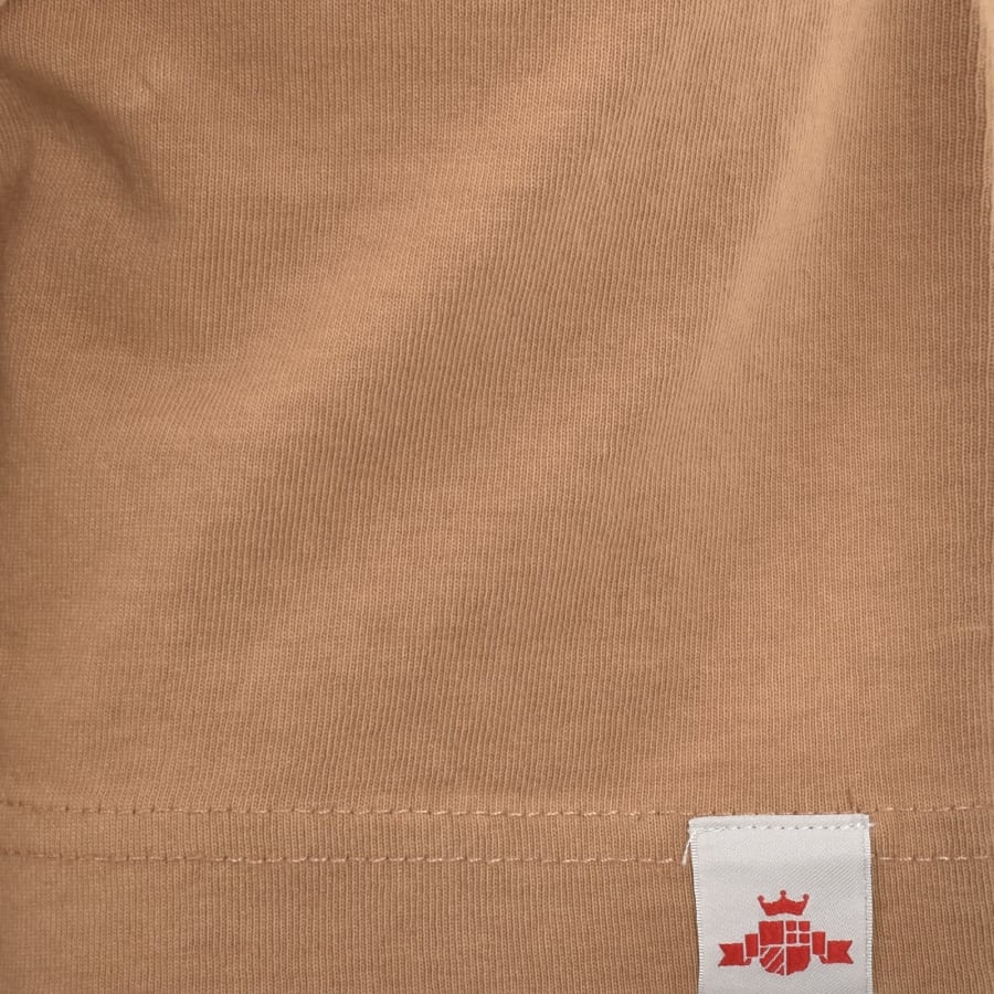 Image number 4 for Replay Flock Graphic T Shirt Brown