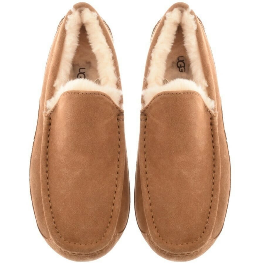 Image number 2 for UGG Ascot Slippers Chestnut