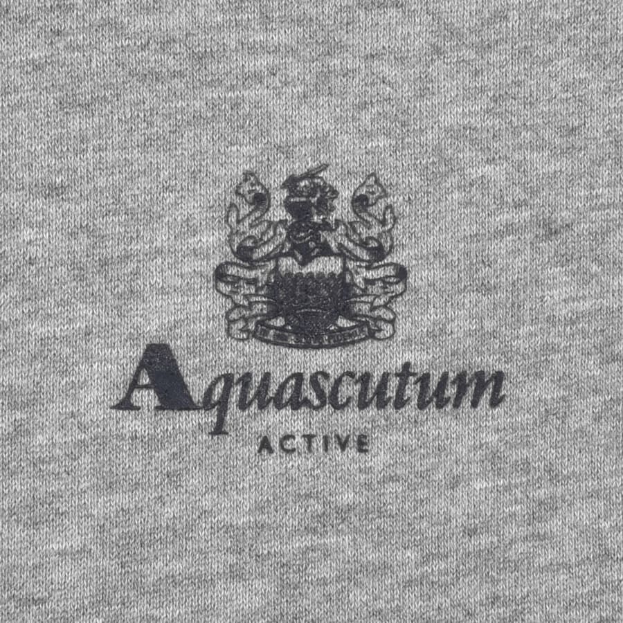 Image number 3 for Aquascutum Active Crew Neck Sweatshirt Grey