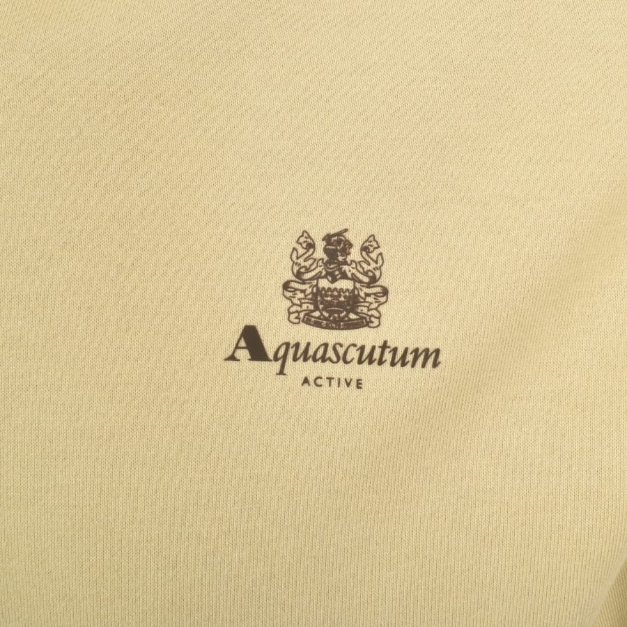 Image number 3 for Aquascutum Active Check Hoodie Fleece Beige