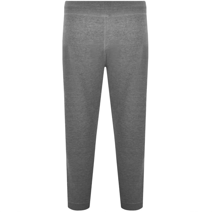 Image number 3 for Tommy Hilfiger Joggers Grey
