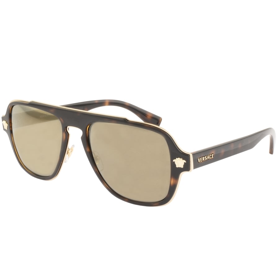 Product Image for Versace Medusa Charm Sunglasses Brown